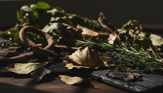 Understanding Herbal Traditions: From Ancient Practices to Modern Formulations